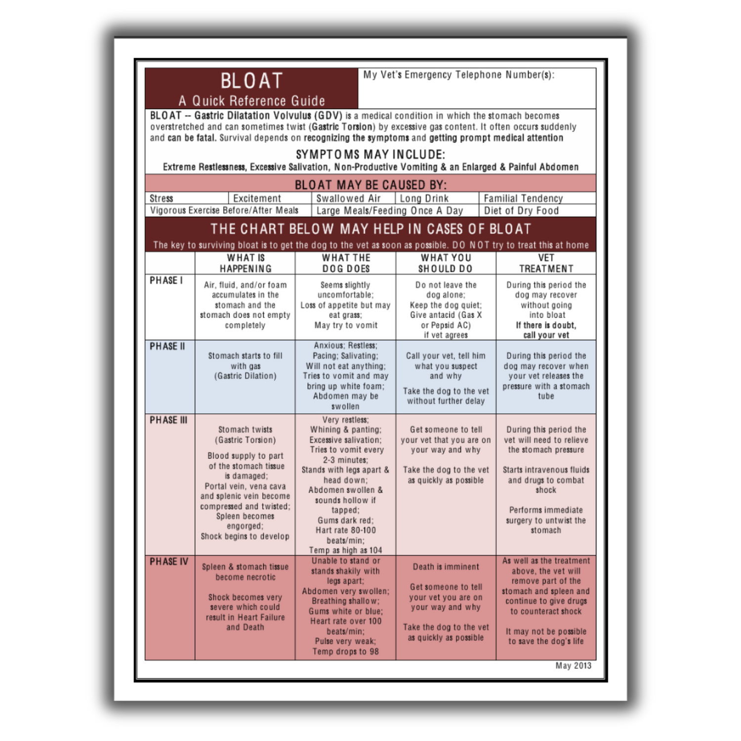 A quick reference guide chart for identifying and managing bloat symptoms in dogs.