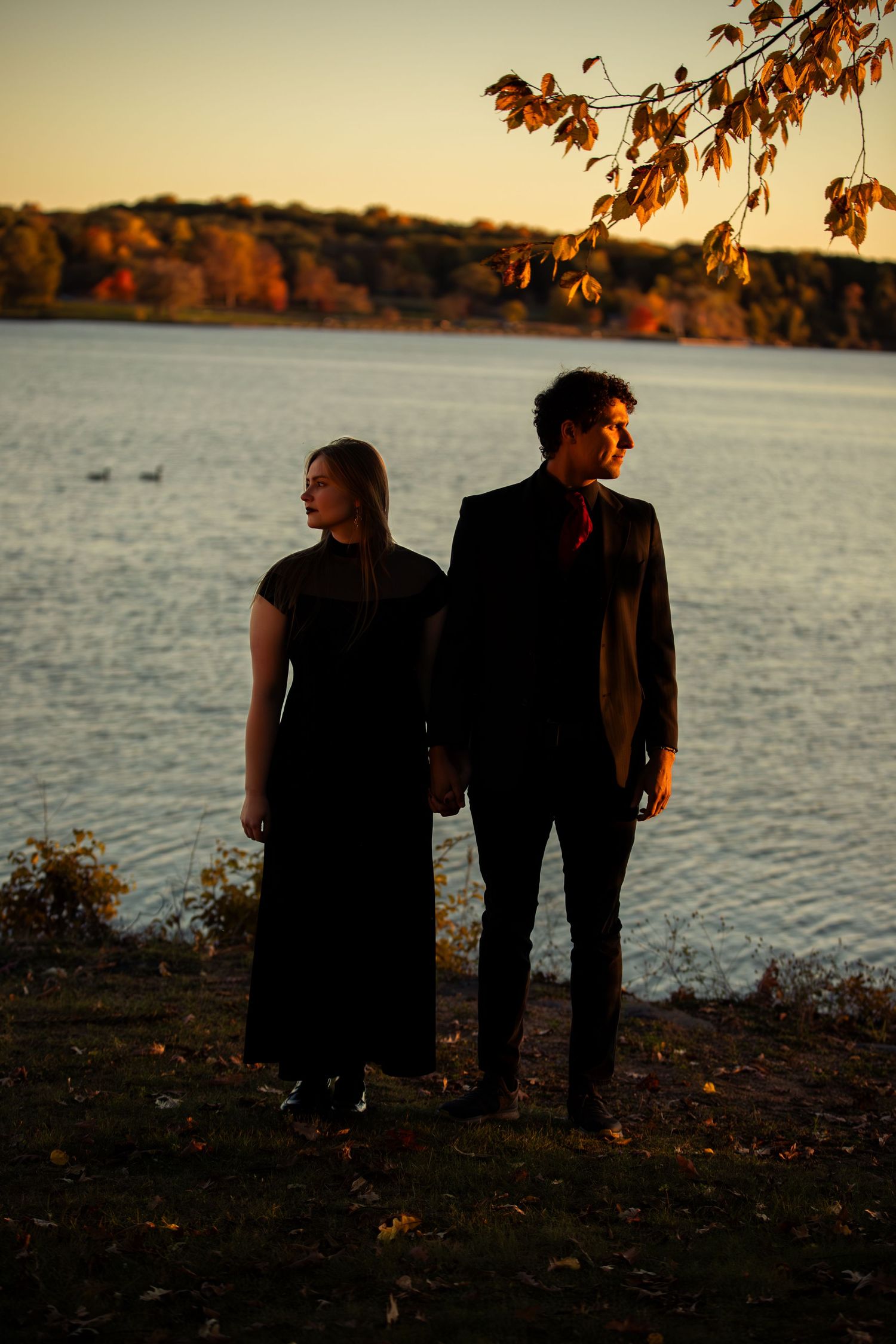 Engagement Photo taken in Kensington Metro Park Brighton Michigan