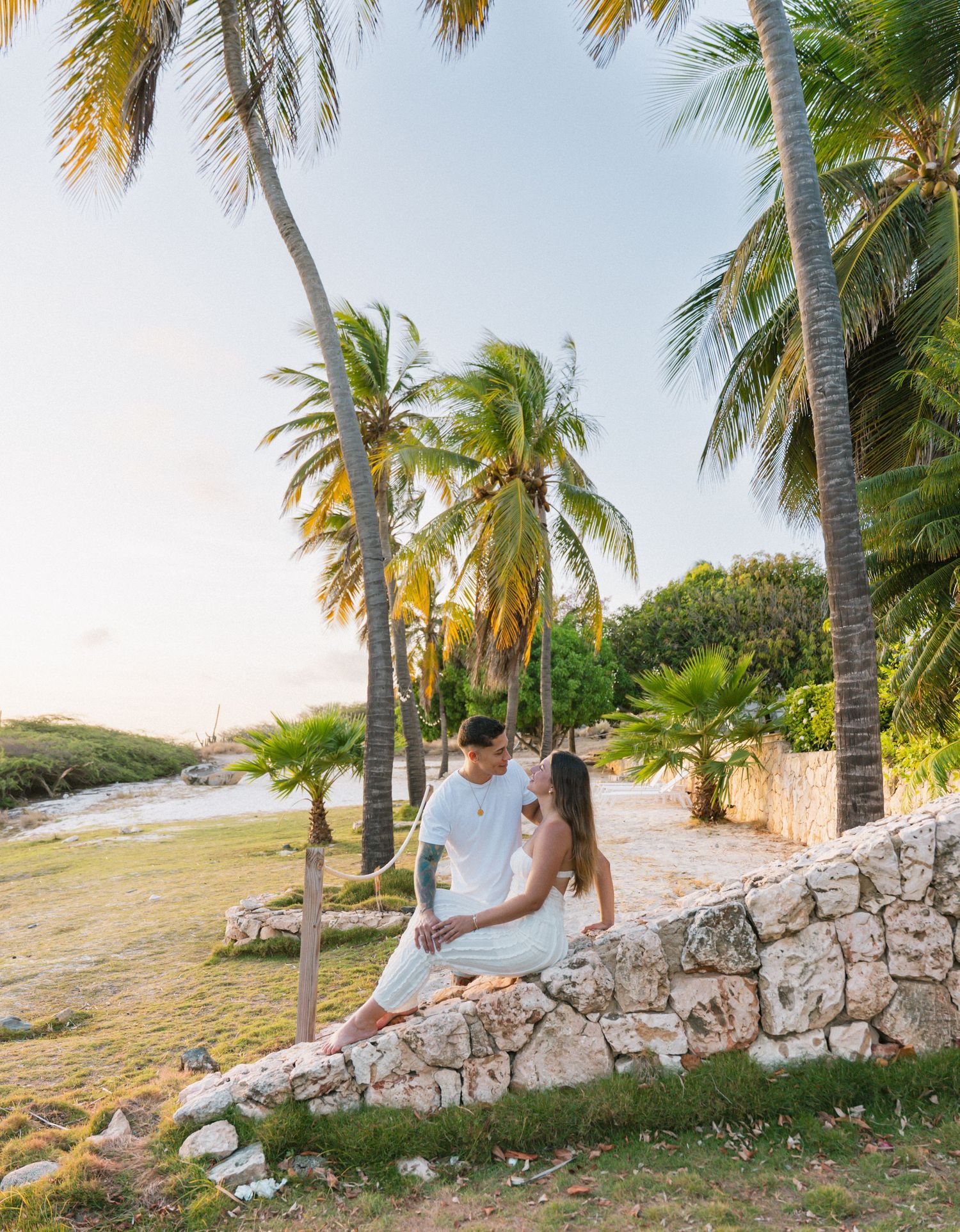 Palm tree galore in Aruba