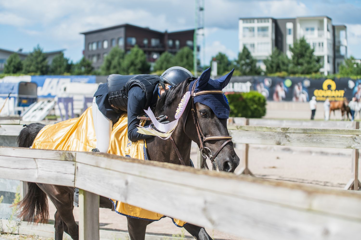 Equestrian rider competing in show jumping event with brown horse passing by colorful flower decorations at outdoor arena.