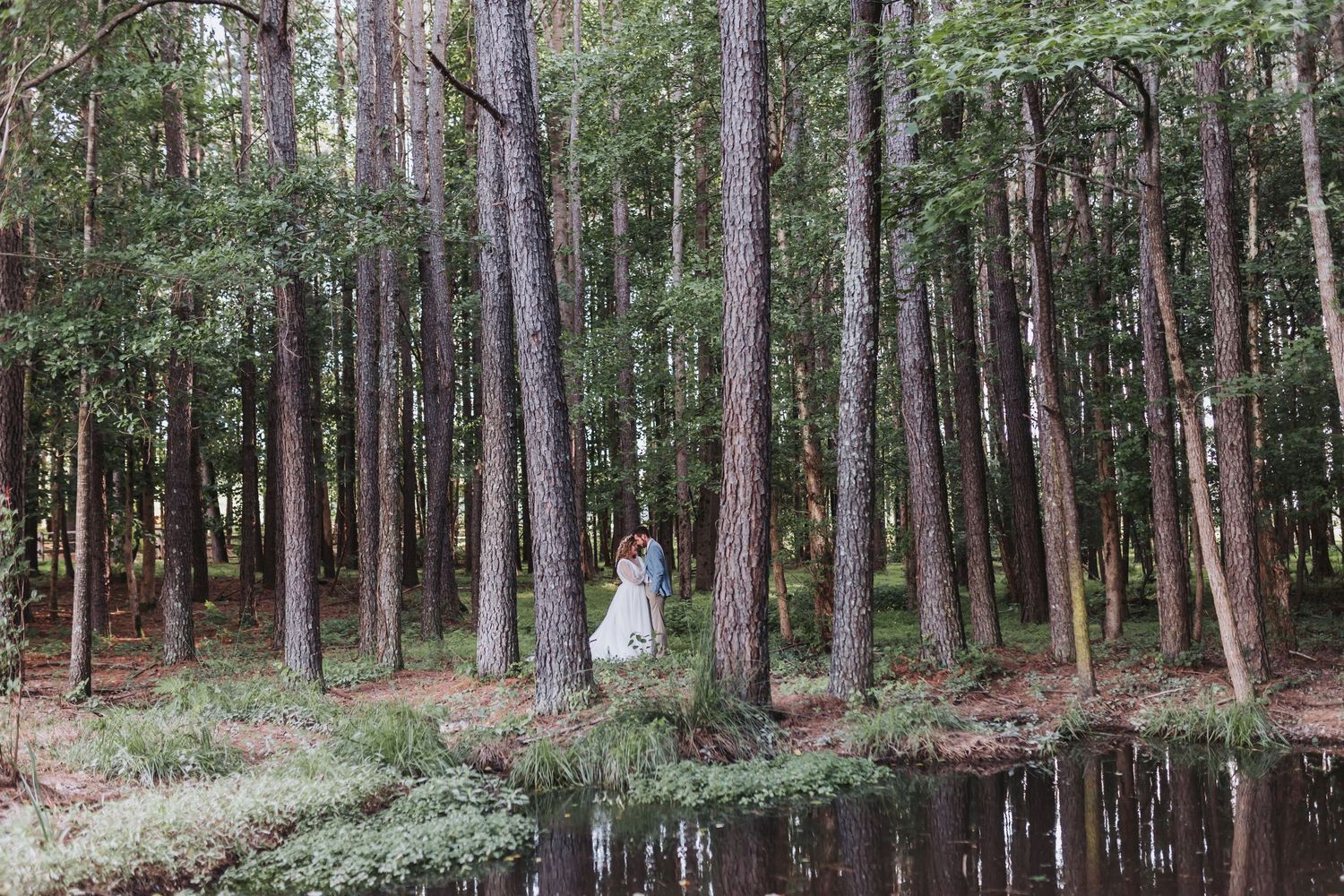 A tranquil pond reflects tall pine trees in a peaceful forest setting during daytime.