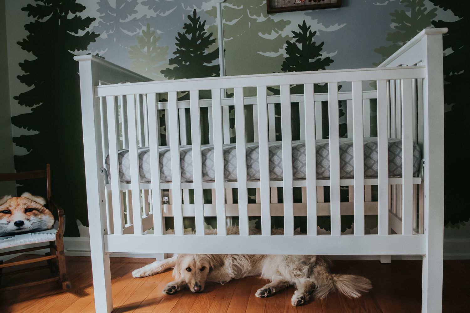 A dog resting beneath a white baby crib against a wall with forest mural wallpaper in a nursery.
