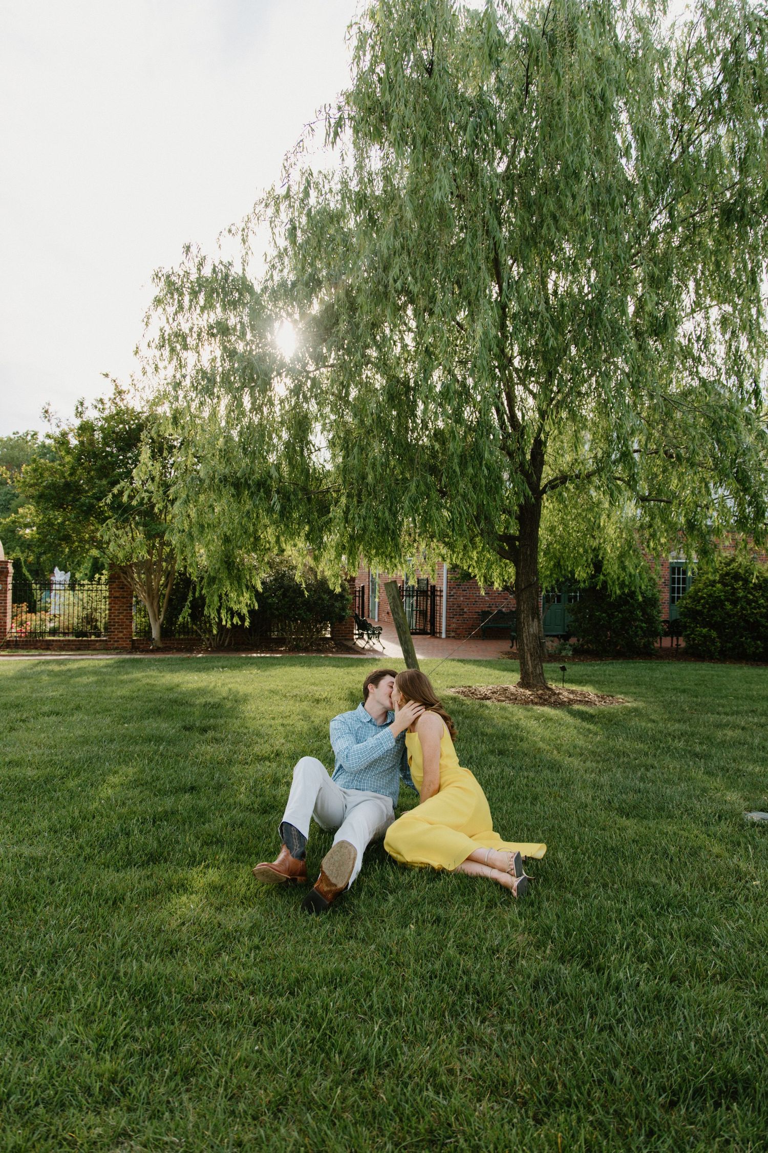 Person lounging on sunny grass lawn beside willow tree branches creating a peaceful outdoor scene.