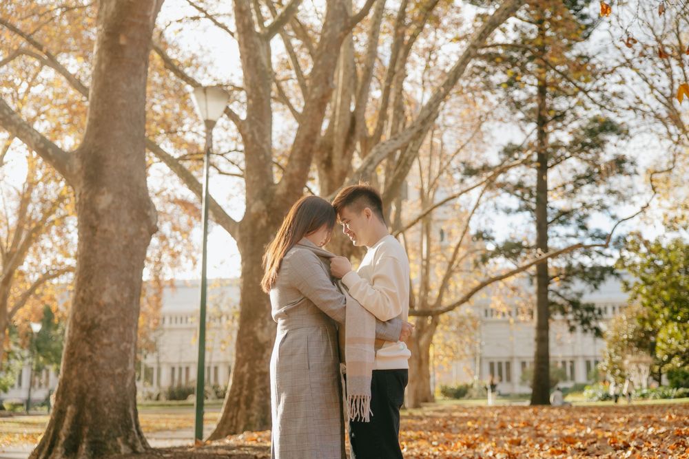 A romantic autumn engagement photoshoot under large trees with golden leaves falling in the background.