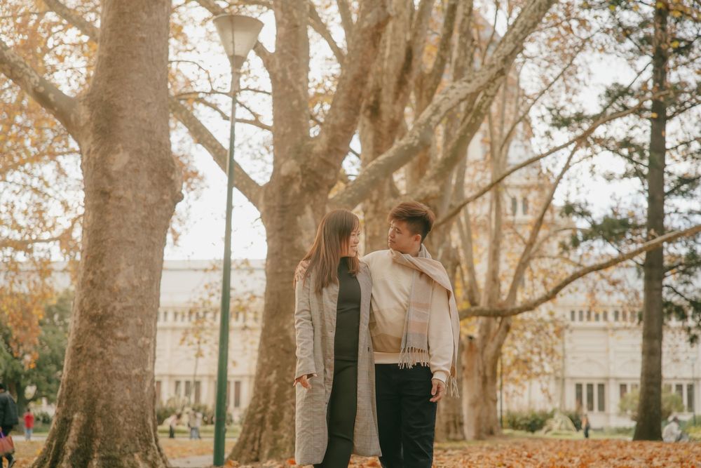 Two people walking together between tall trees with autumn leaves on a peaceful afternoon.