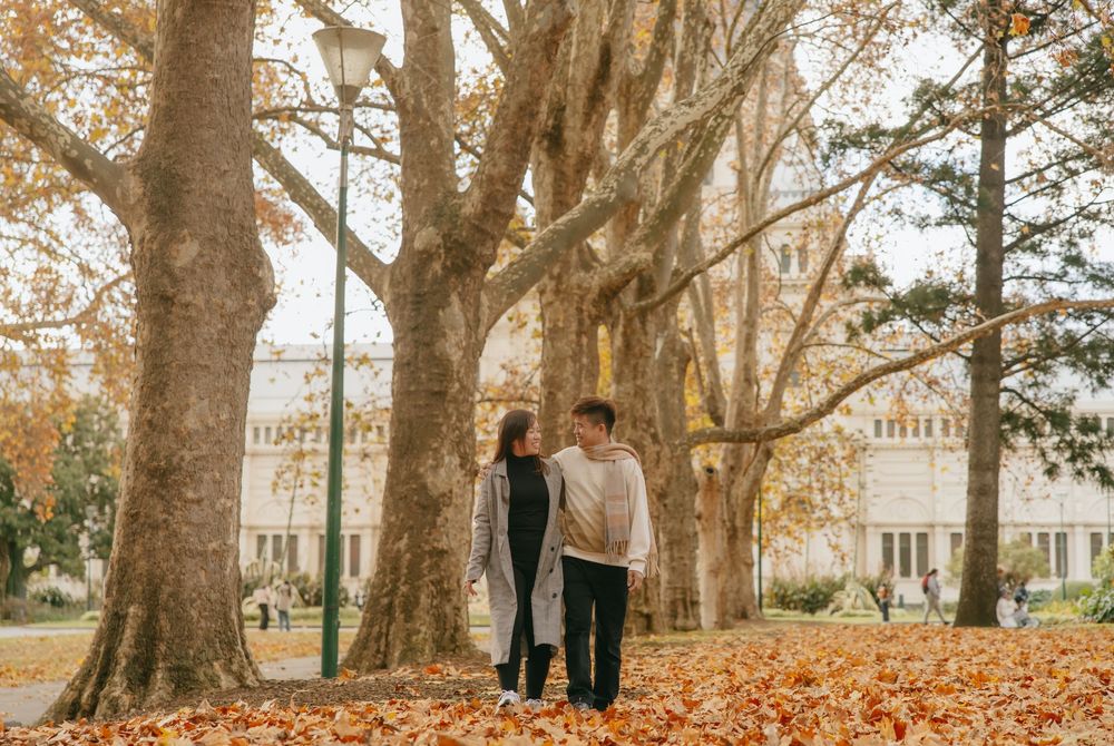 A couple walking through a scenic fall landscape with large trees and fallen leaves on the ground.