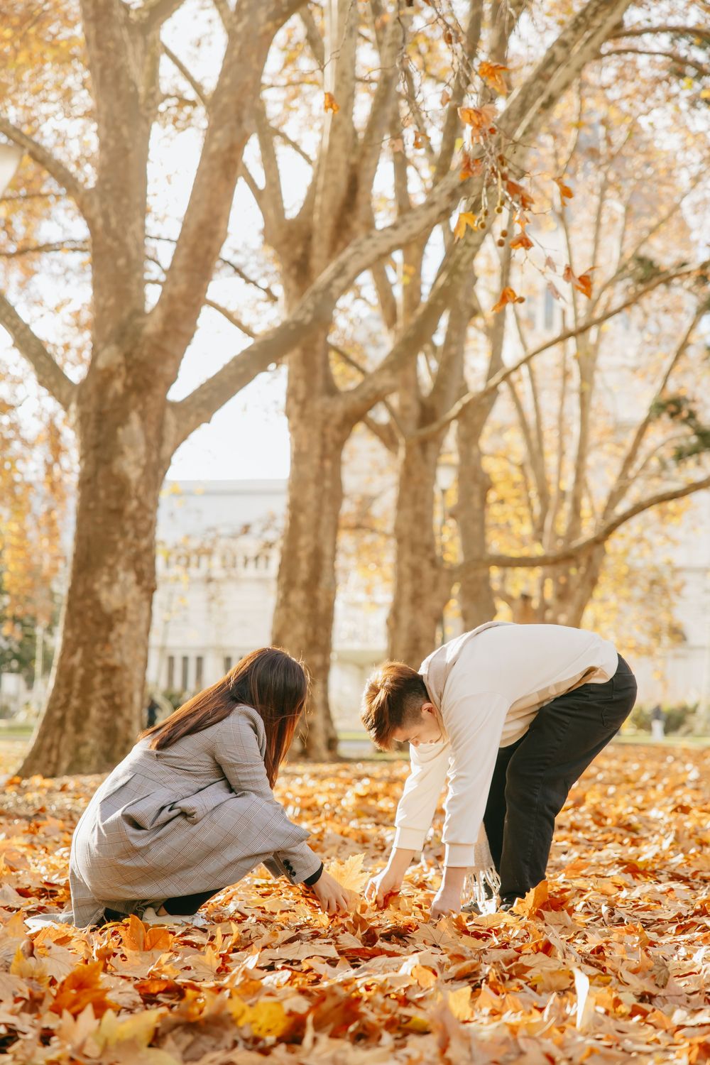 A series of images showing someone rolling and playing in fallen autumn leaves beneath tall trees.