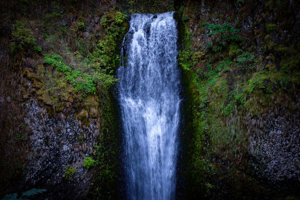 Majestic waterfall cascades down moss-covered rocky cliffs surrounded by lush greenery in Oregon.