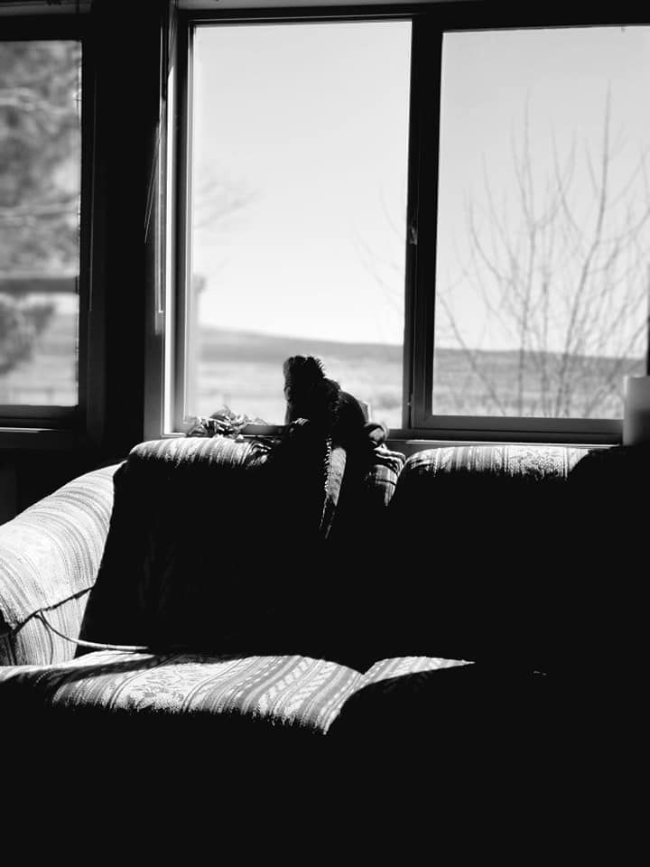 Silhouetted furniture against bright windows creates dramatic contrast in a dark room.