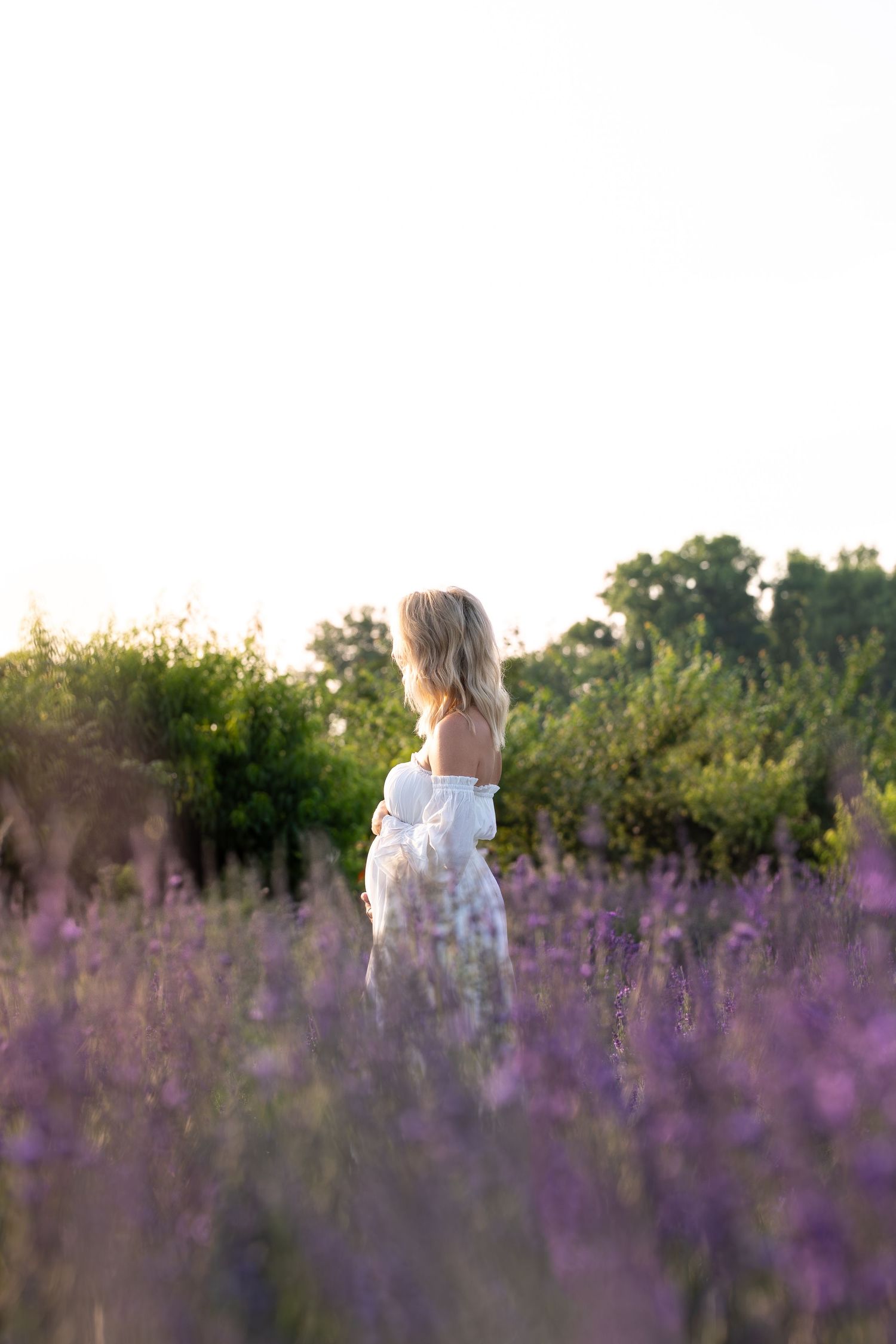 A person stands in a field of blooming purple wildflowers during golden hour.