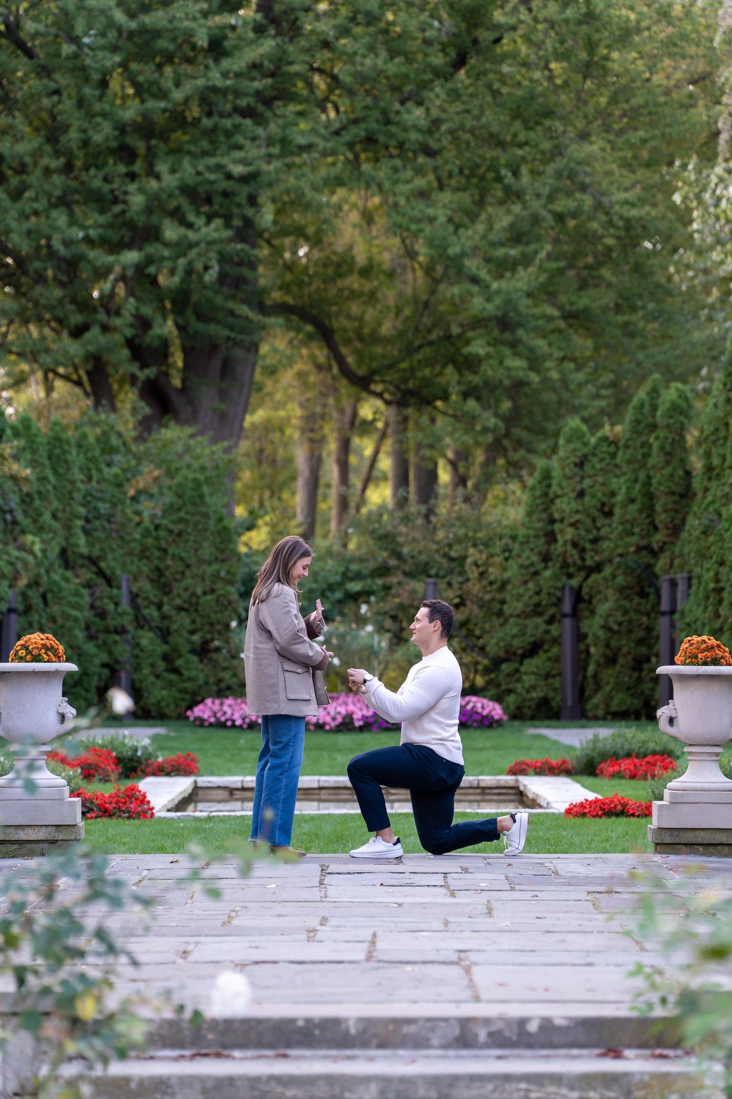 A romantic marriage proposal moment unfolds on garden steps surrounded by colorful flowers and greenery in a park setting.