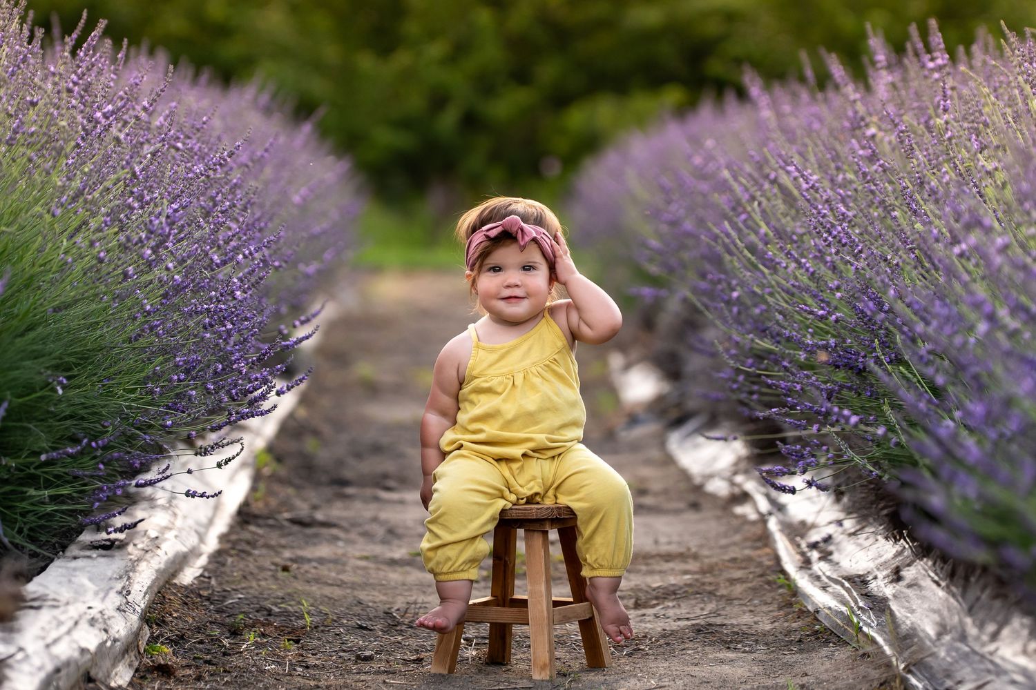 A child in yellow sits on a wooden bench along a garden path with blooming purple lavender flowers on both sides.