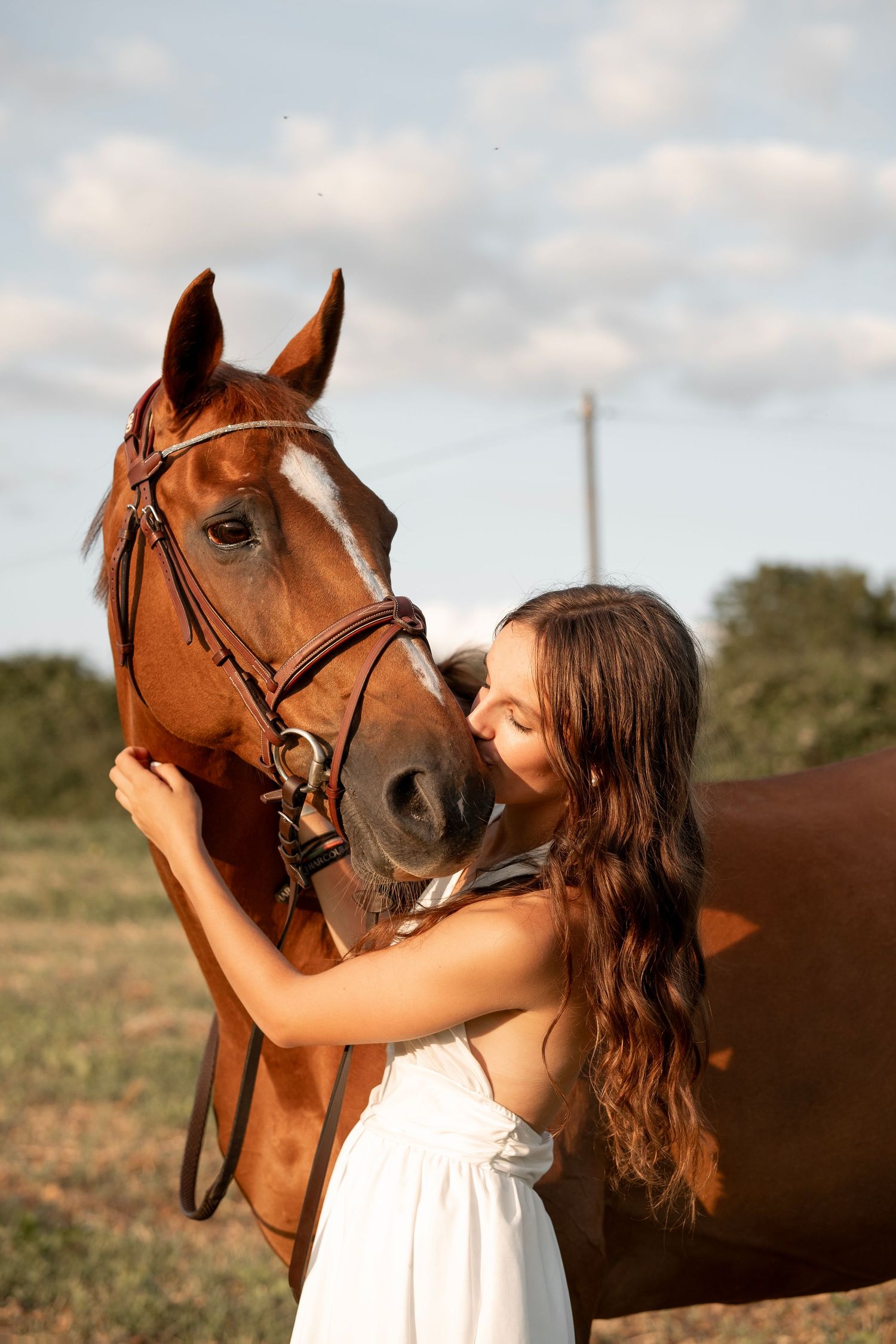 Photographe animal charité sur loire