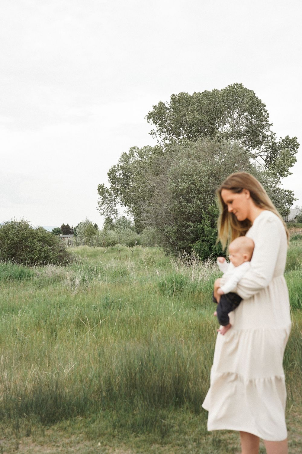 A series of four photographs show a parent and baby sharing tender moments in a lush green meadow setting.