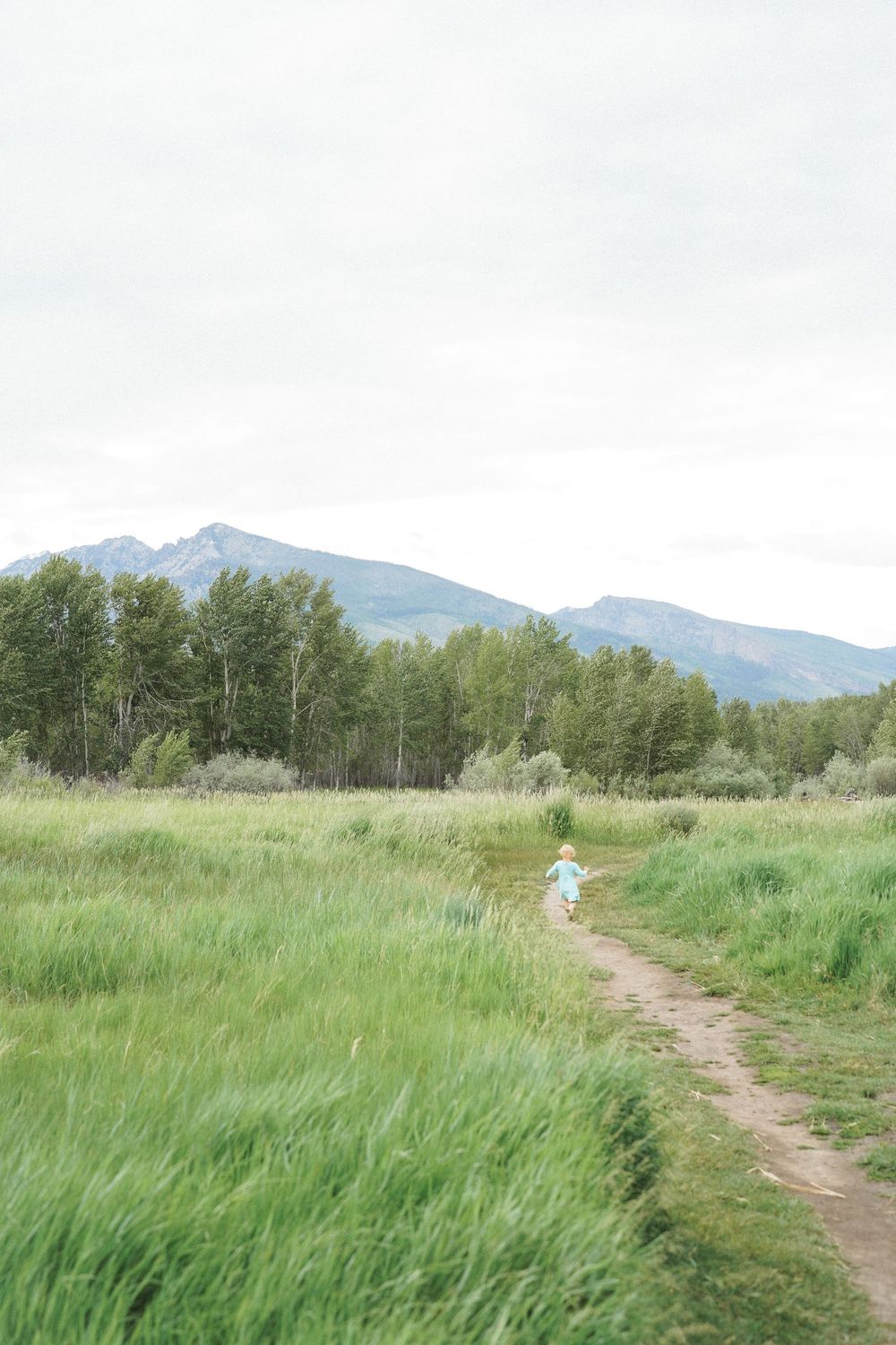 A dirt trail winds through tall green grass and aspen trees with mountain peaks rising in the distance.