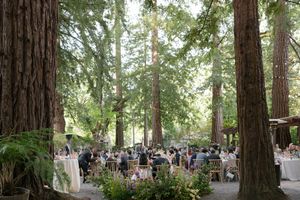 A wedding reception takes place in a serene redwood forest grove with tables set among towering trees and ferns.
