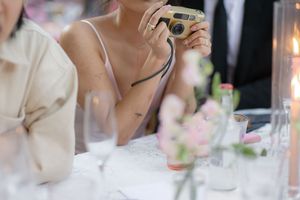 Elegant wedding reception scene showing guests toasting with champagne flutes at a formal dining table.