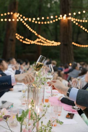 Champagne glasses clink at an outdoor wedding reception under romantic string lights and tall trees.