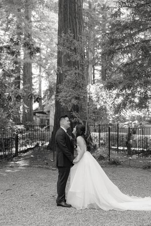 A romantic black and white wedding photo featuring a couple embracing under tall redwood trees in a forest setting.