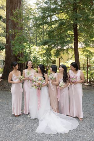 Wedding party in soft pink dresses posed together in a scenic redwood forest setting.