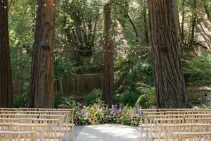 Wooden benches arranged in rows create a rustic outdoor wedding ceremony setup beneath towering redwood trees.