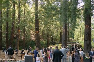 Guests gather at an outdoor wedding ceremony venue surrounded by towering redwood trees in a sunlit forest setting.
