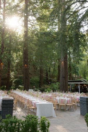 String lights illuminate an elegant outdoor wedding reception setup with white tables and chairs nestled among tall trees.