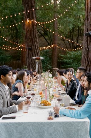 Guests enjoy an elegant outdoor dinner party under string lights strung between redwood trees during dusk.