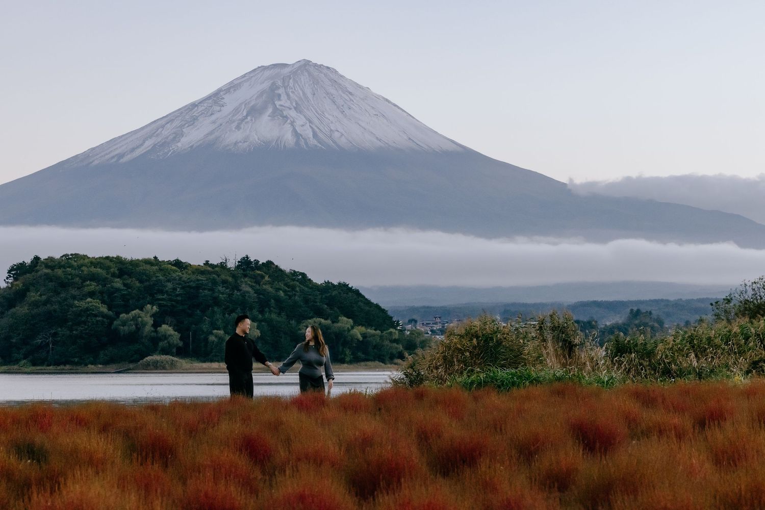 Mount Fuji rises majestically above the Japanese landscape in a series of scenic photographs showing different views and seasons.