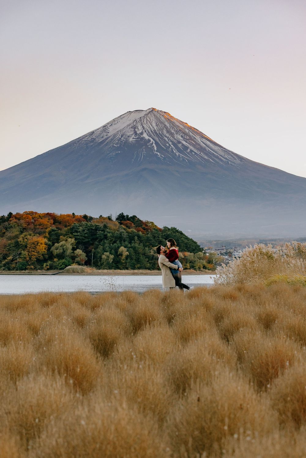Mount Fuji rises majestically above golden autumn grasslands in Japan during sunset.