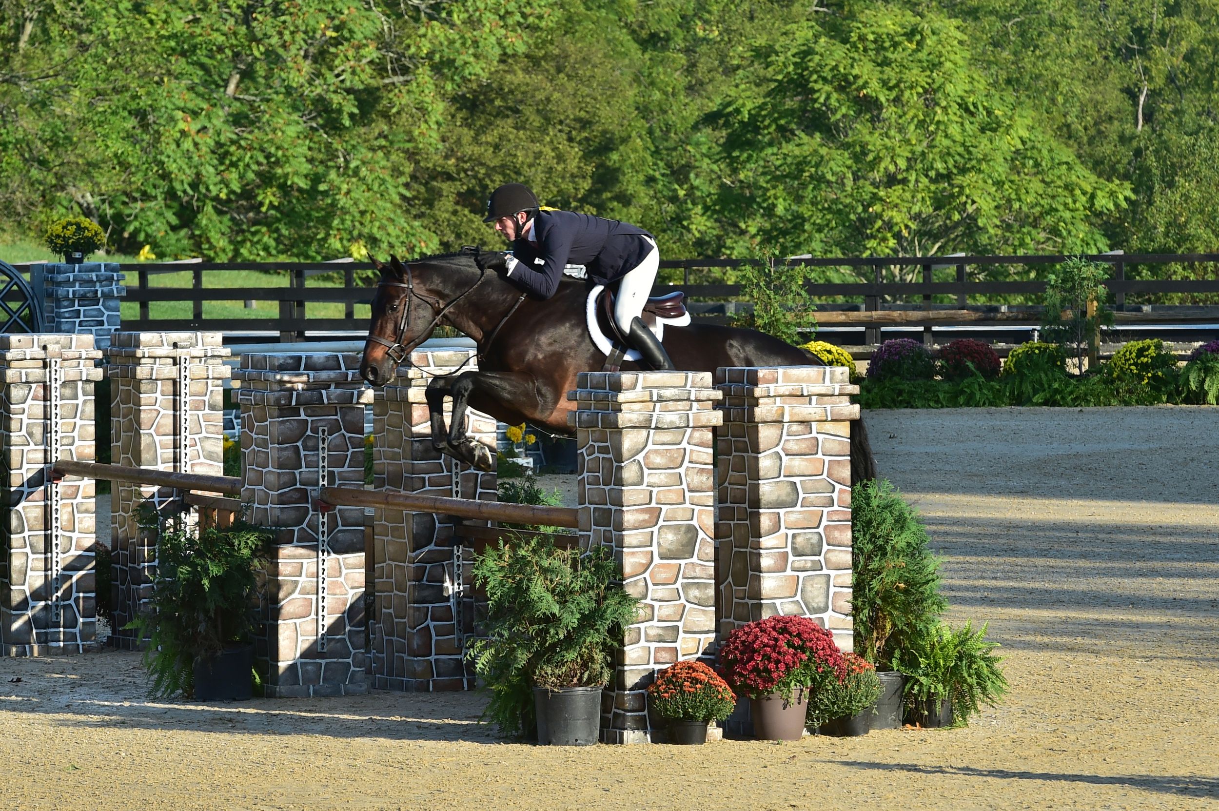 Equestrian rider and horse jumping over a stone wall obstacle with red flowers at the base during competition.