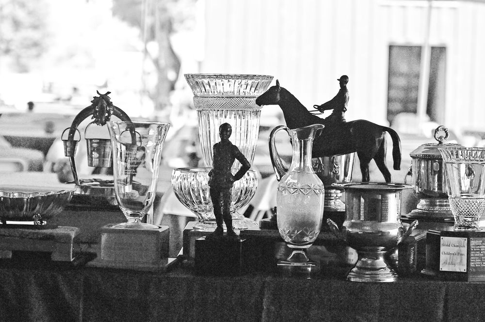 Display of vintage silver trophies and awards lined up on a table in black and white.