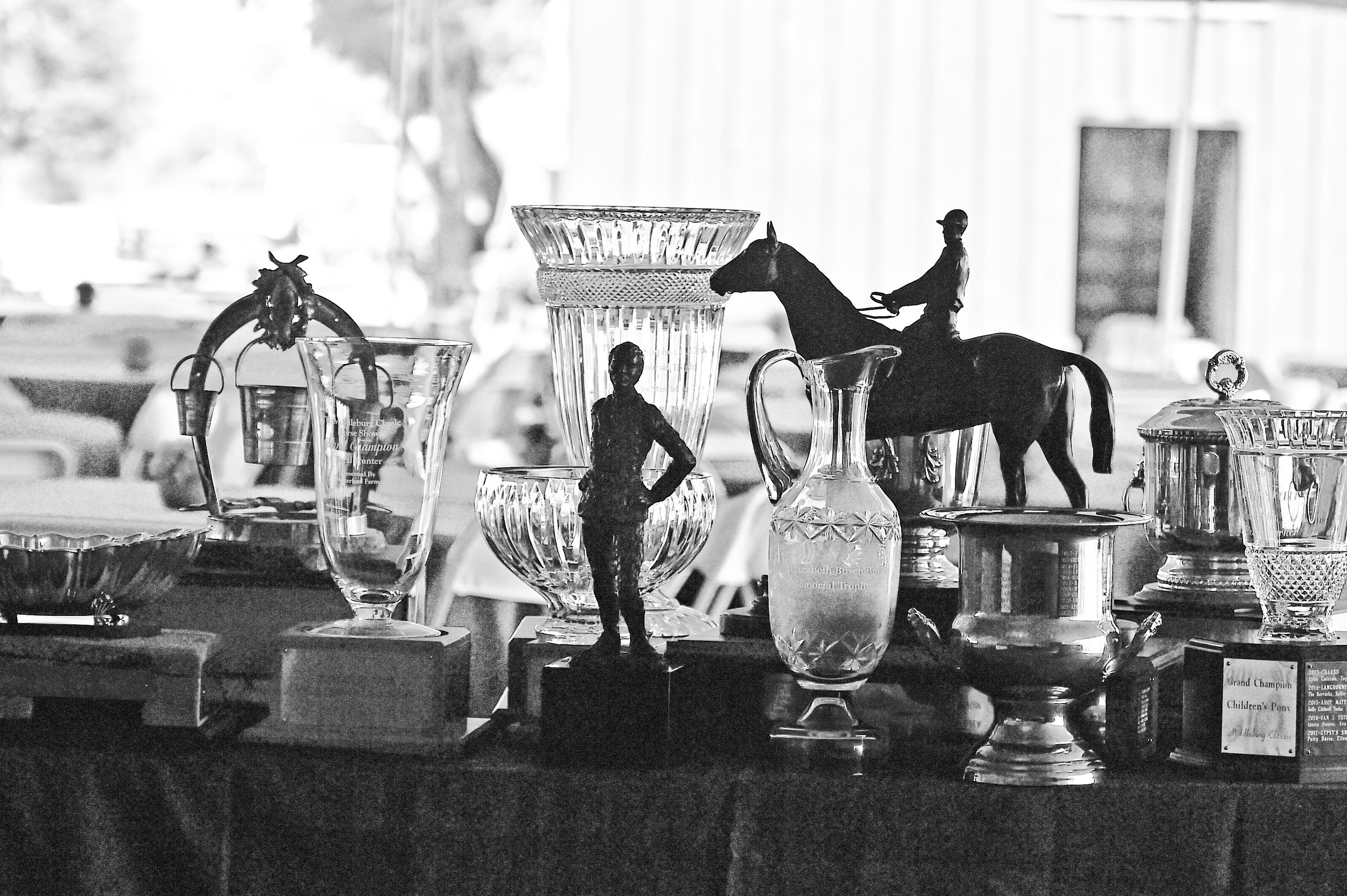 Display of vintage silver trophies and awards lined up on a table in black and white.