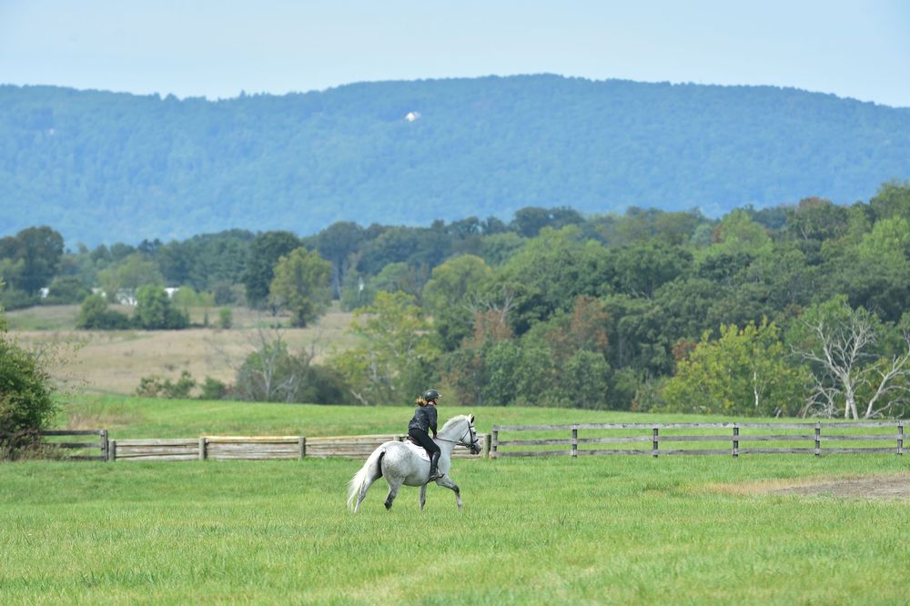 Rolling green hills and mountains create a scenic pastoral landscape with wooden fencing in the foreground.