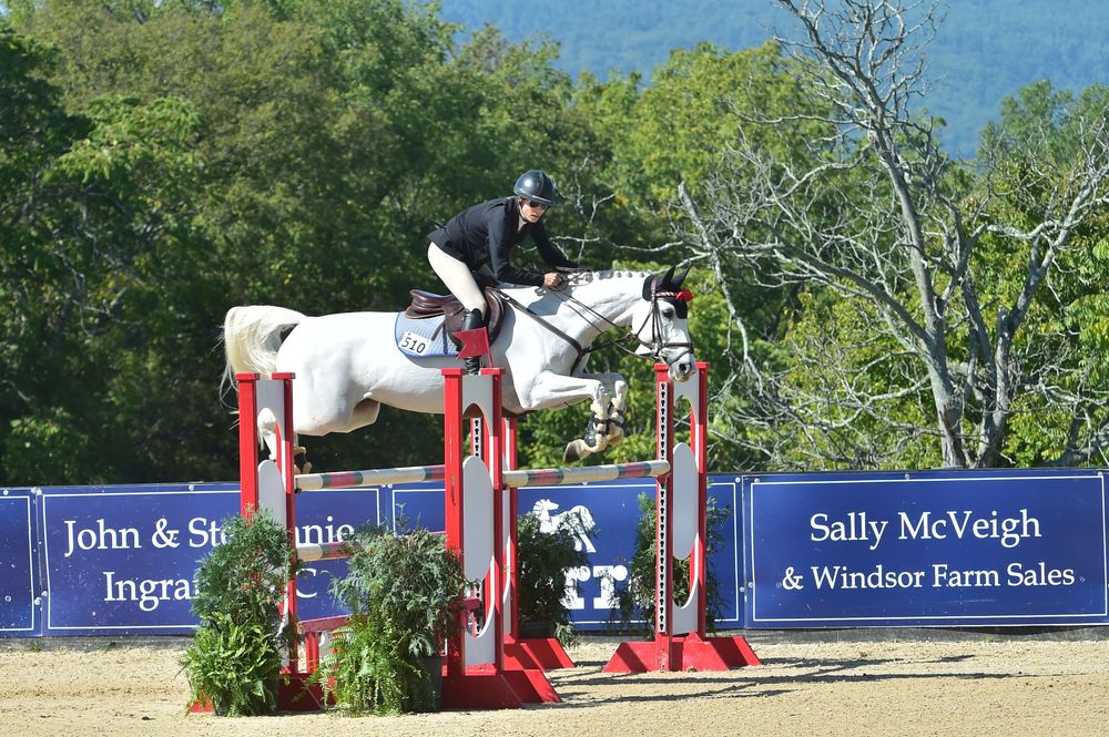 Horse jumping competition with red and white obstacles set up in an outdoor arena against blue sky.