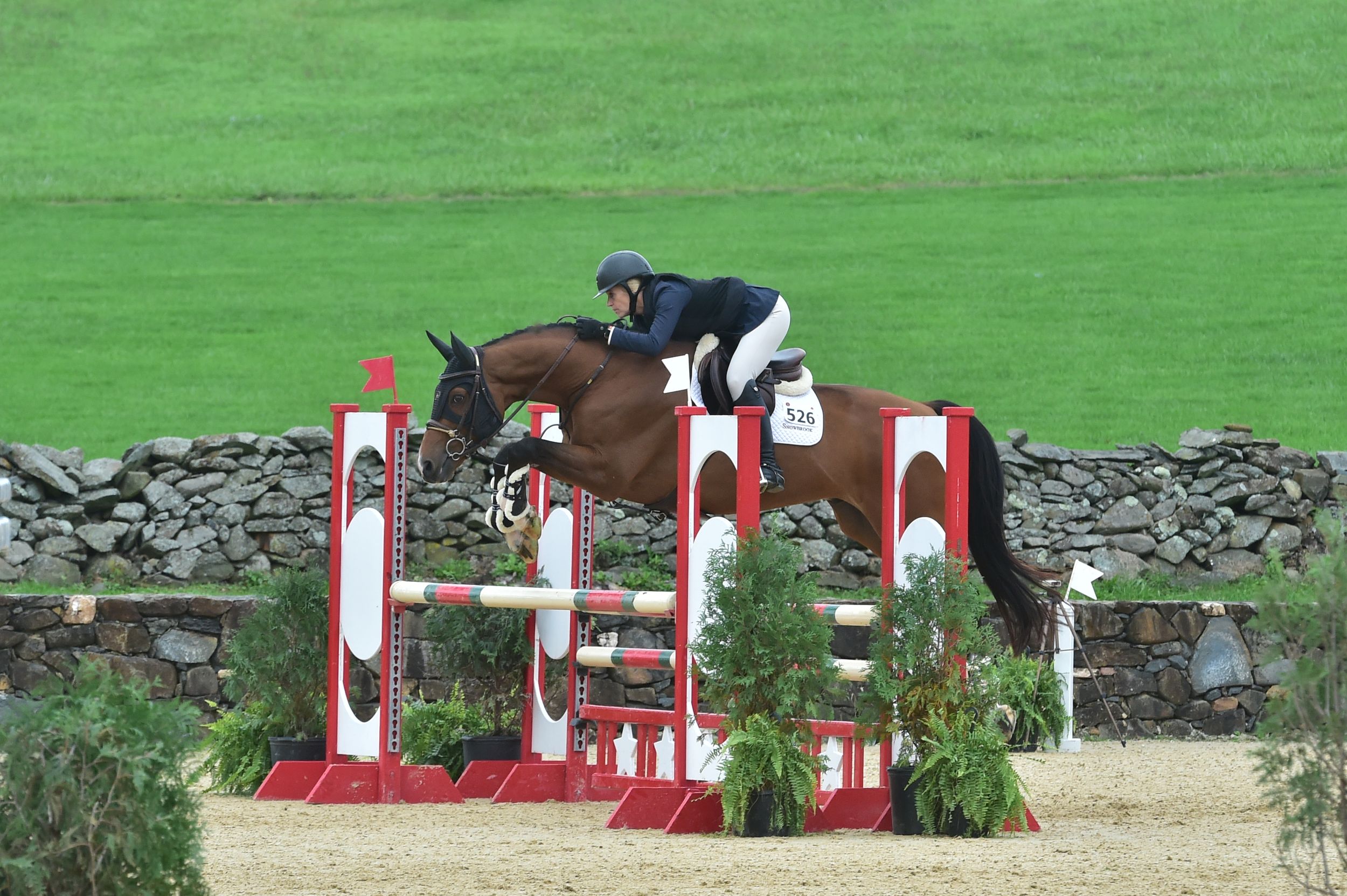 Equestrian rider and horse clearing red and white striped jumps during competition on green grass field.