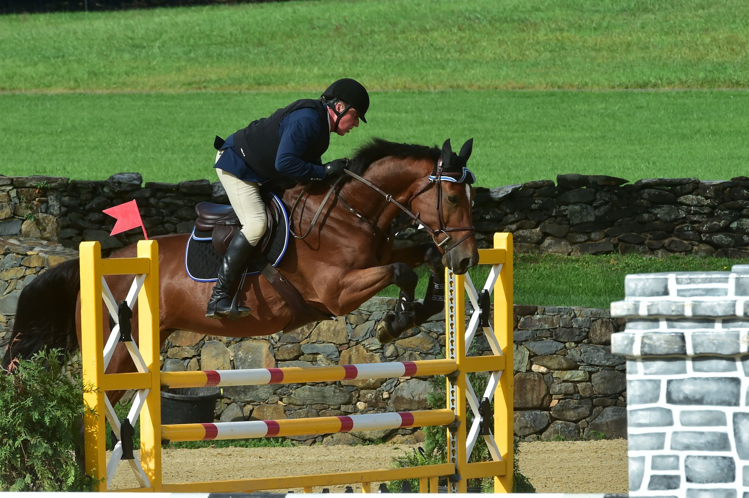 Horse and rider jumping over yellow and white show jumping obstacles on a grassy equestrian course.