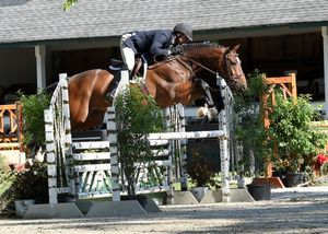 A rider in navy show attire guides a bay horse over a white show jumping fence during an equestrian competition.