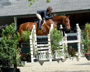 A horse and rider approach a white jumping fence during an equestrian show jumping competition.