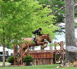 Equestrian rider and horse clear a wooden fence during a cross-country jumping competition in a lush green setting.