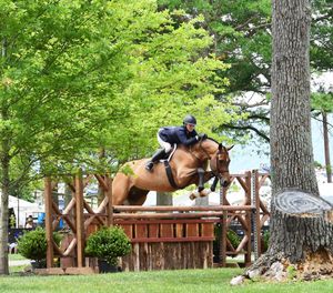 Equestrian rider jumping over an obstacle with a brown horse on a course surrounded by green trees and wooden fences.