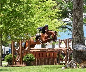 Equestrian and chestnut horse clearing a wooden jump obstacle during competition in a tree-lined outdoor arena.