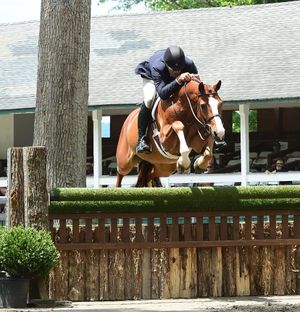 A horse and rider jump over a wooden fence at an equestrian show jumping competition.