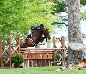 Horse and rider clearing a wooden fence during an equestrian jumping competition in a lush outdoor setting.