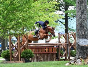 Horse and rider jumping over wooden obstacles in sequence during an equestrian competition.