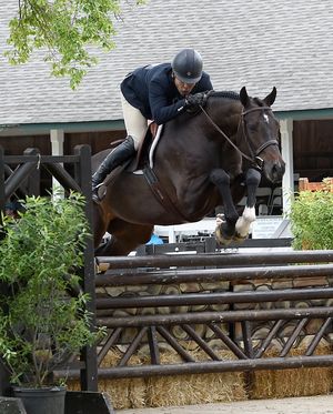 Sequence of equestrian show jumping photos showing a horse and rider clearing a wooden fence over hay bales.
