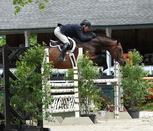 A horse and rider navigate through a series of white jumping obstacles on an outdoor equestrian course.