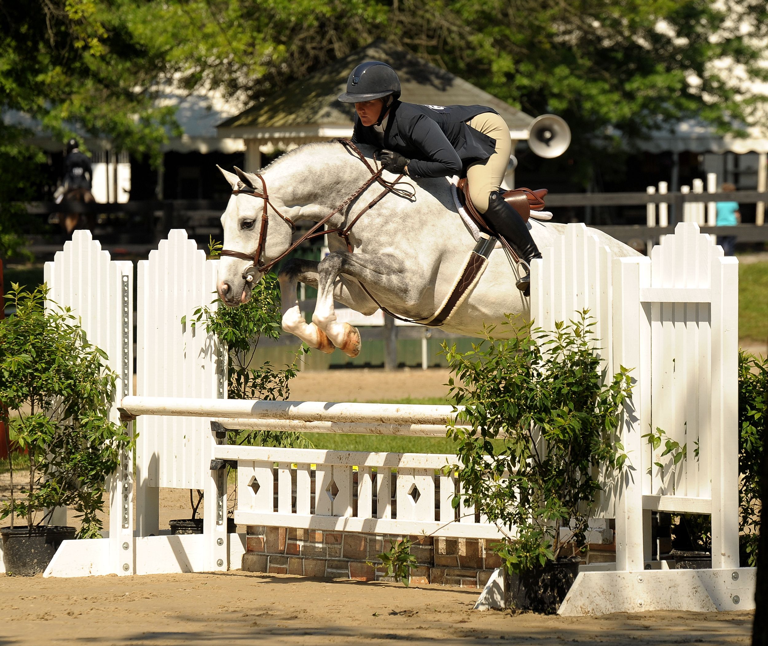 A rider and grey horse leap over a white show jumping fence during an equestrian competition.