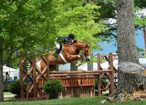 Horse and rider clearing a series of cross-country jumps through a wooded course with green trees in the background.