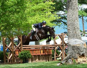 Horse and rider performing a high jump over a wooden obstacle during an equestrian competition.